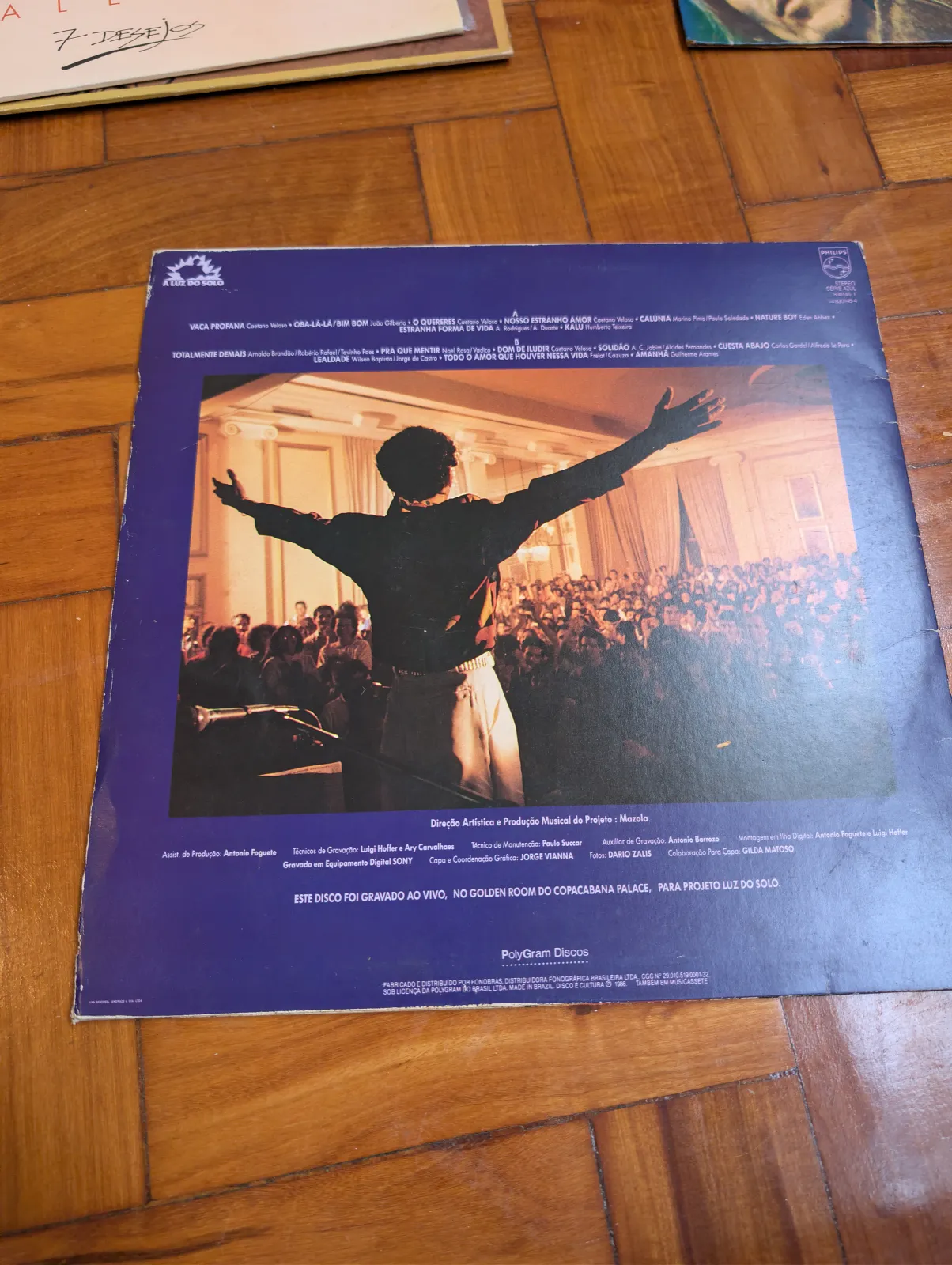 Caetano Veloso — Totalmente Demais, back