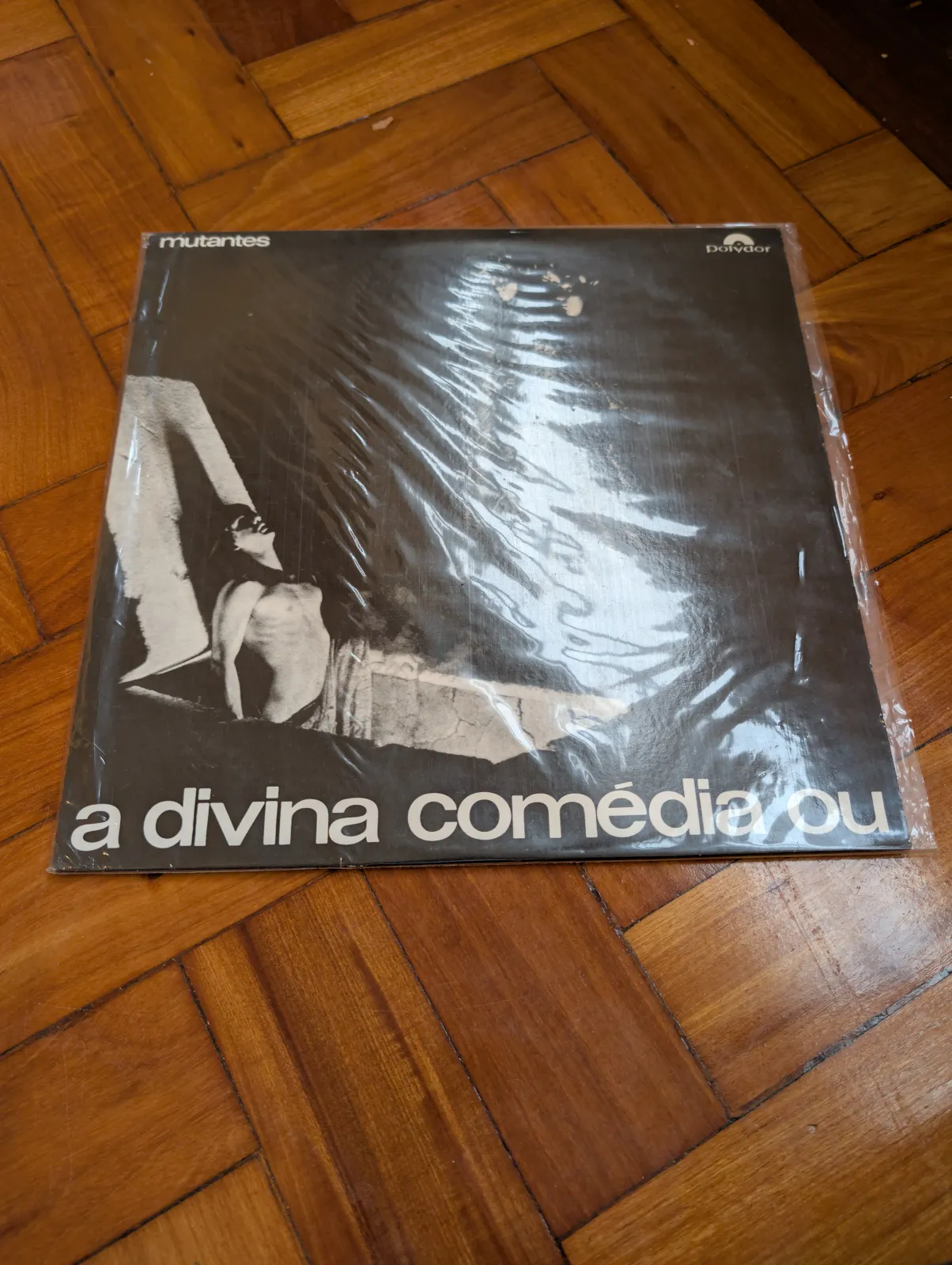 Os Mutantes — A Divina Comédia ou Ando Meio Desligado, front