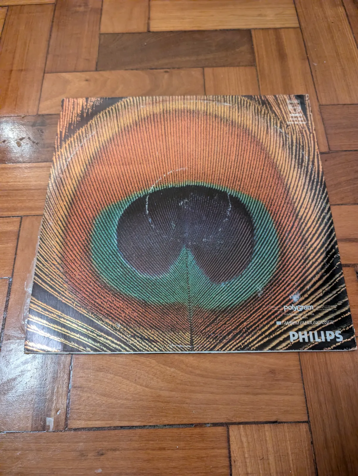 Caetano Veloso — Outras Palavras, back