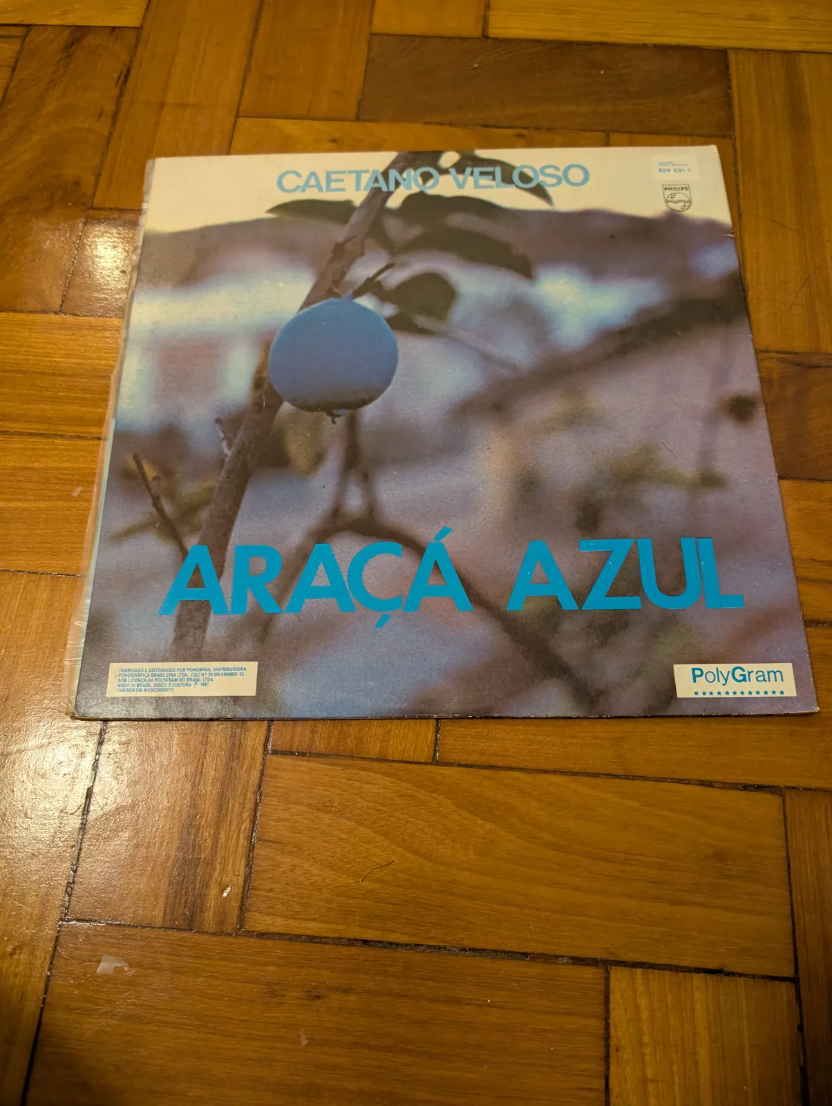 Caetano Veloso — Araçá Azul, front