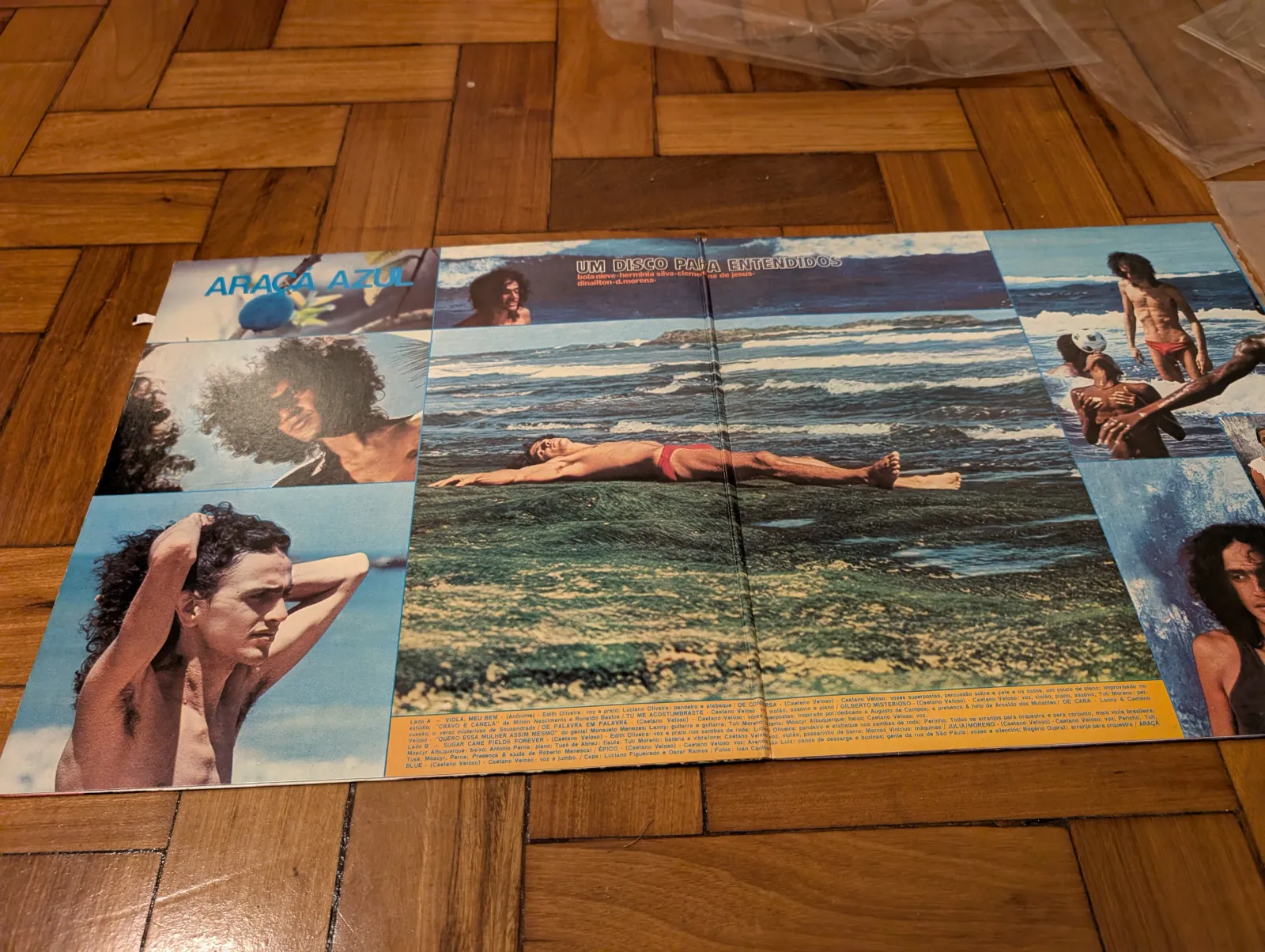 Caetano Veloso — Araçá Azul, gatefold