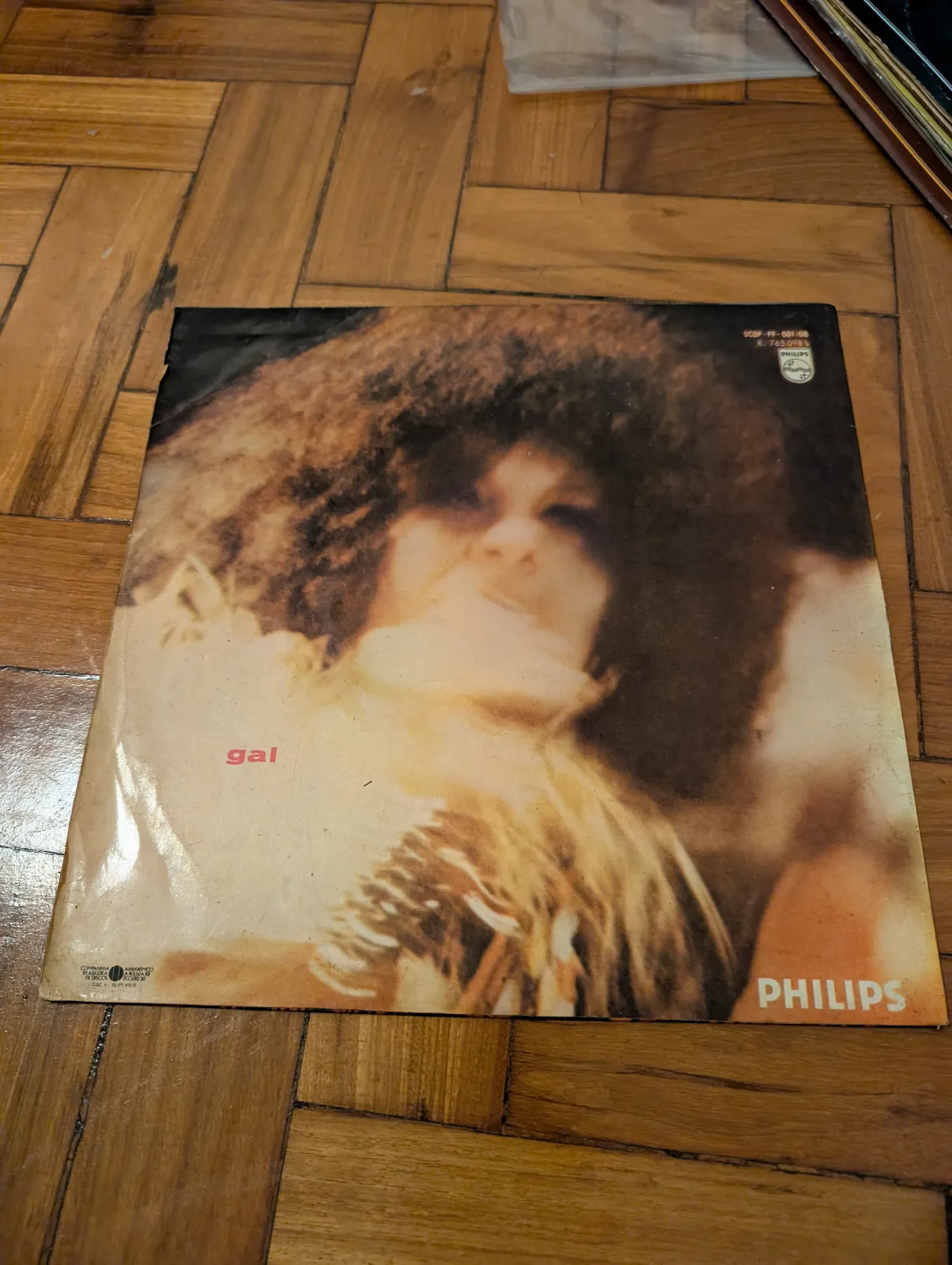 Gal Costa — Gal Costa, back