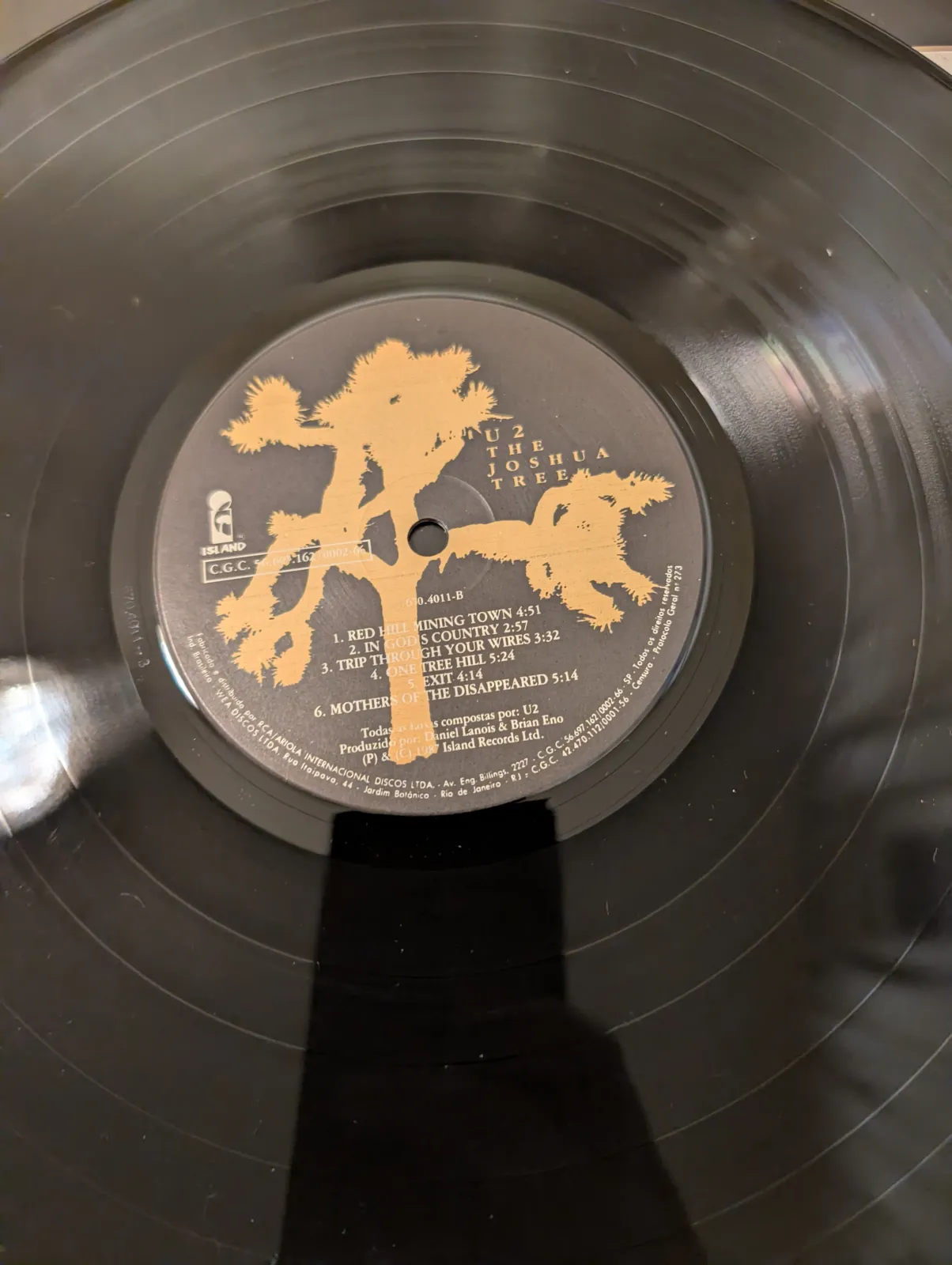 Pink Floyd — Delicate Sound of Thunder, back