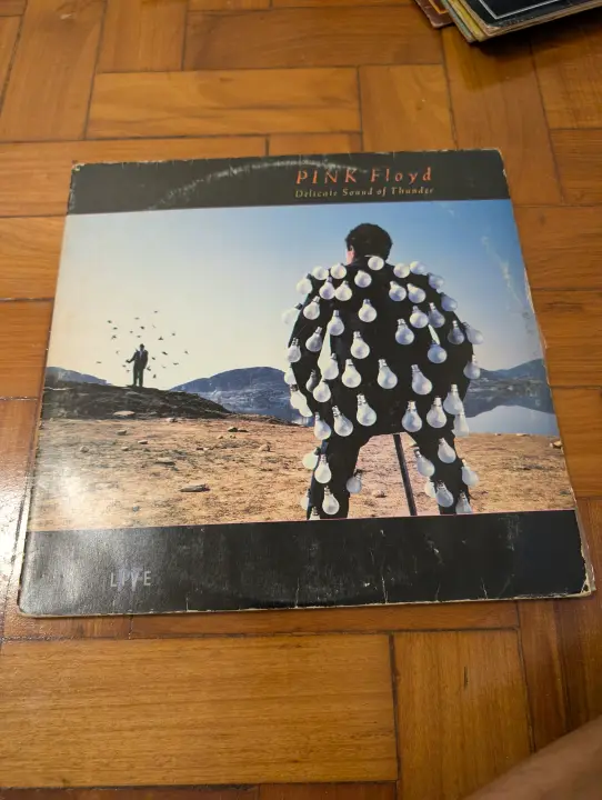 Pink Floyd — Delicate Sound of Thunder, front