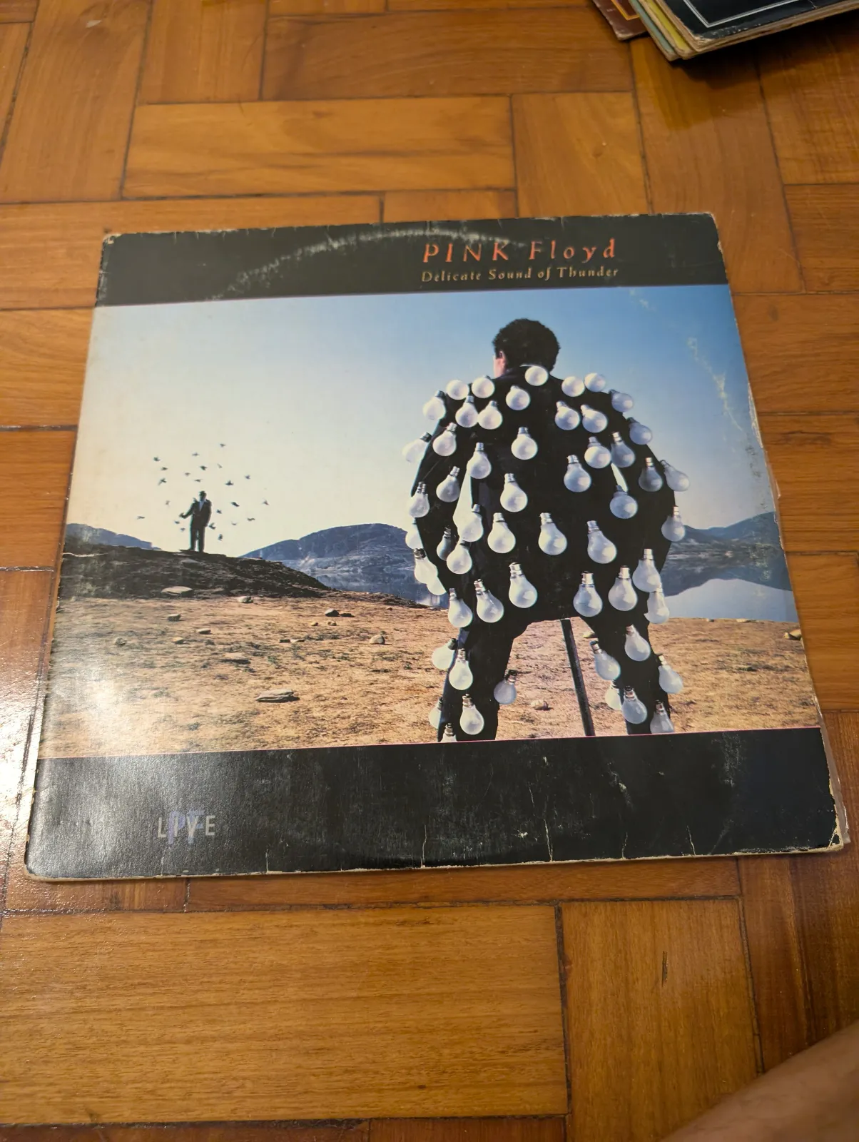 Pink Floyd — Delicate Sound of Thunder, front