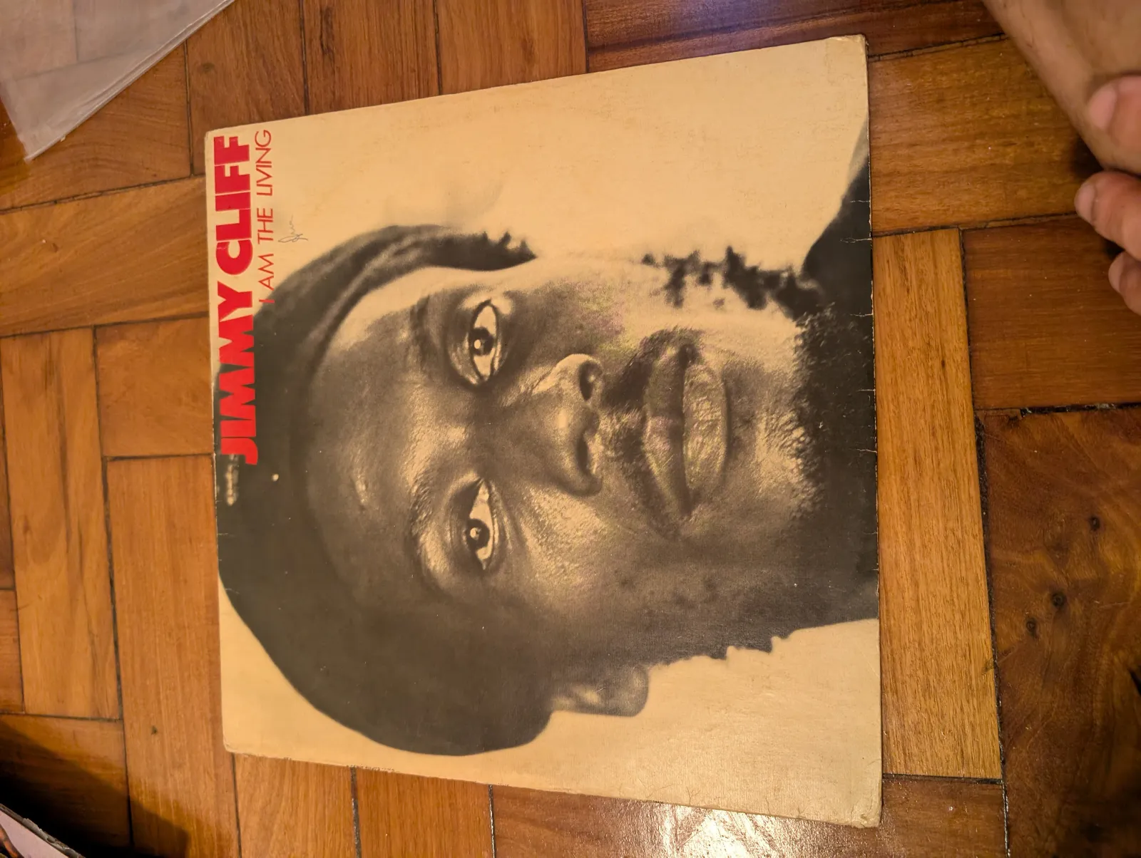Jimmy Cliff — I Am the Living, back