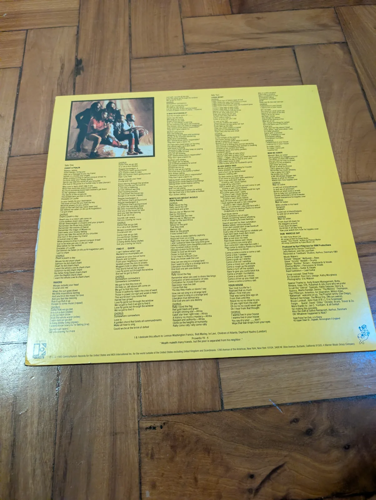 Steel Pulse — True Democracy, back